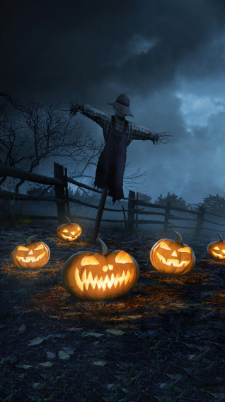 Halloween Night Pumpkin Scarecrow 4k Wallpaper iPhone HD Phone 3600h