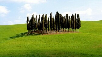 Wallpaper Scenic Siena Travel Italy Province Tuscany Jpg