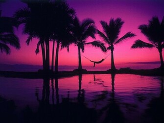 Soothing Sunset Wallpaper