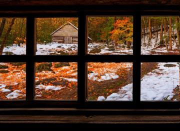 Nature Forest Window Fall Snow Winter Wallpaper HD Desktop