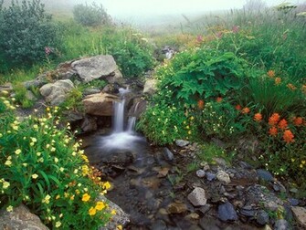 Waterfall HD Wallpaper
