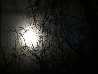 File Dark Moon Max Frear Jpg Wikipedia The Encyclopedia