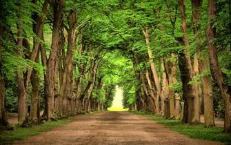 Landscape Nature Road Green Trees Beautiful Wallpaper