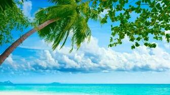 Exotic Summer Picture Makes A Great Desktop Wallpaper Image Or