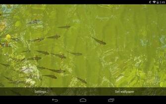 Best Fish Live Wallpaper Android
