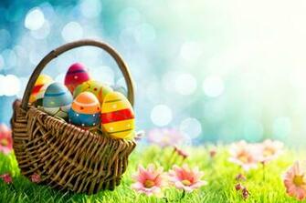 Annual Egg Hunt Returns To Dctc News