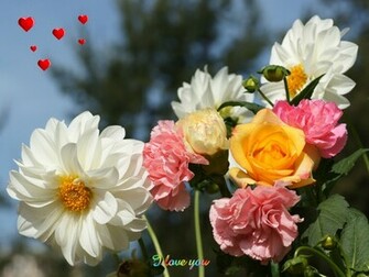 Mothers Day Wallpaper Beautiful Flowers