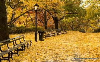 Autumn Screensavers And Background