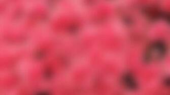 Pink Wallpaper Desktop