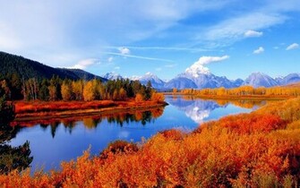 Autumn Scene Background Wallpaper For Desktop