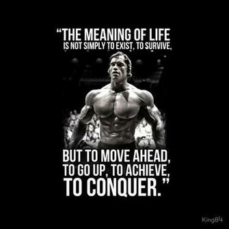 Gallery For Arnold Schwarzenegger Conquer Poster Wallpaper