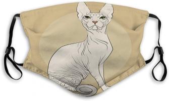 Amazon Anti Breathing Shield Cat Breed Sphynx Background