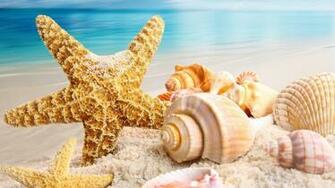 X HD Widescreen Immagine Foto Wallpaper