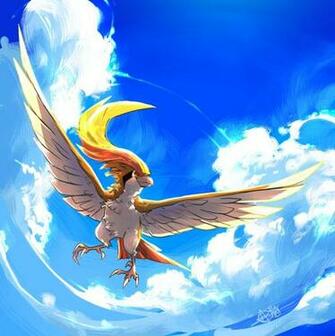 Screamdog On Pidgeot Was Always One Of My Favorites