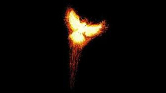 Firebird Wallpaper