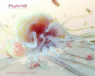 Medical Desktop Wallpaper