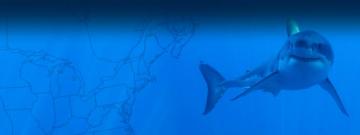 Expedition New England Ocearch