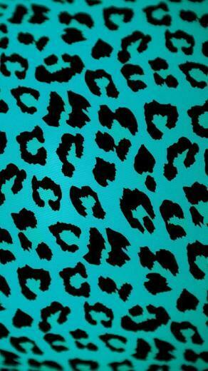 Blue Leopard iPhone Wallpaper Zebra