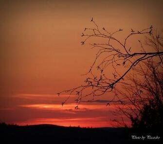 Sunset By Picardroe Caedes Desktop Wallpaper
