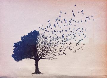 Wallpaper With Trees And Birds On