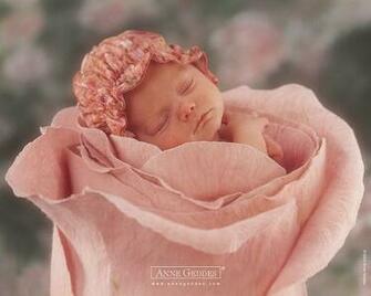 Kerwin Whitlatch Anne Geddes Baby Wallpaper
