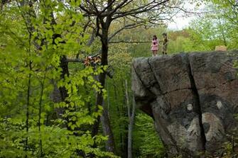 Movie Moonrise Kingdom Wallpaper