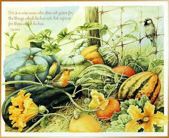 Marjolein Bastin Nature Journal Dutch And Cayman