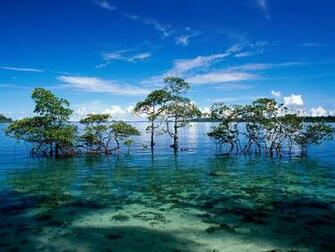 Islands India Cool Background And Wallpaper For Your Desktop