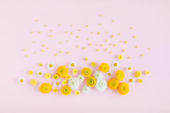 Digital Blooms May Desktop Wallpaper Justinecelina