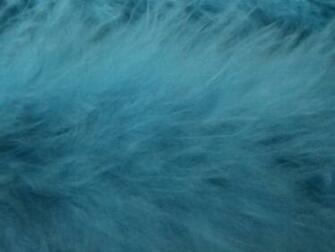 Sky Blue Faux Fur Or Feathers By Sweetsoulsister