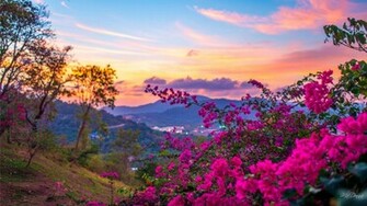 Spring Season HD Desktop Wallpaper
