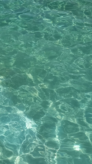 Sea Wallpaper Blue Water Sage Green