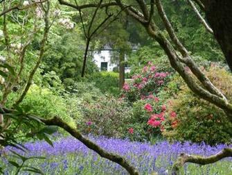 Pin English Garden Wallpaper