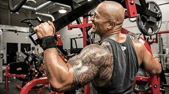 Photos Dwayne Johnson Tattoos Man Machine The Rock Gym Workout Human