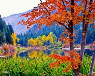 Fall Foliage Washington