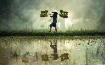 Farmer Wallpaper Top Background