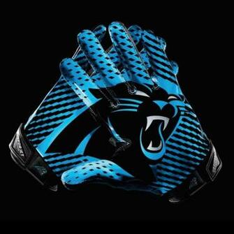 Carolina Panthers Handschuh Mit Team Logo