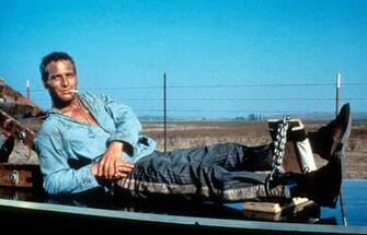 Cool Hand Luke Photo Gallery