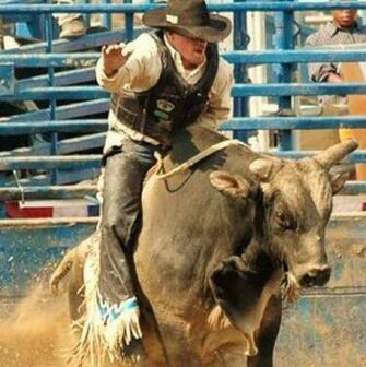 Bull Riding Wallpaper Other Listia Auctions For