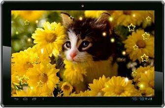 Kitty Sounds Live Wallpaper Android Apps On Google Play