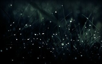 Wallpaper HD Dragon Logo Motocross