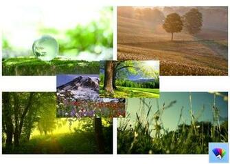 Source Url Winaero Spring Theme For Windows