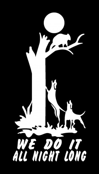 Coon Hunting Wallpaper For