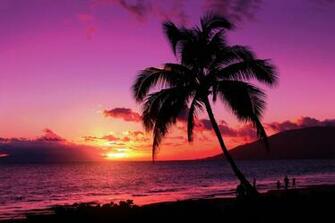 Beach Sunset Background Purple B