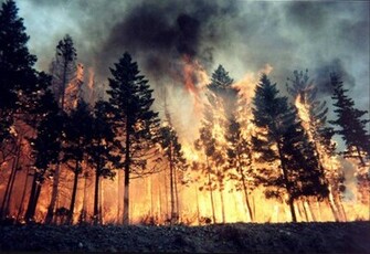 Wallpaper Photo For The Wildland Firefighter