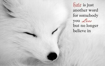 Arctic Fox Foxes Wallpaper
