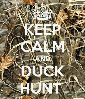 Duck Hunting Wallpaper iPhone Widescreen