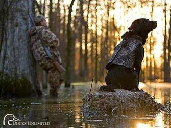 Ducks Unlimited E Cards