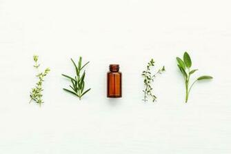 We Re Choosing Aveda Products For The Salon Here S Why