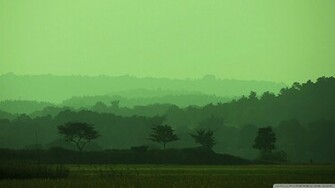 Green Hills Wallpaper